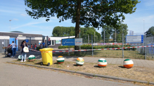 eiken processie rupsen eiken processie rupsen